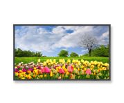 NEC Commercial LCD Monit