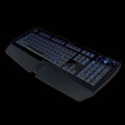 IMG 1 of 1