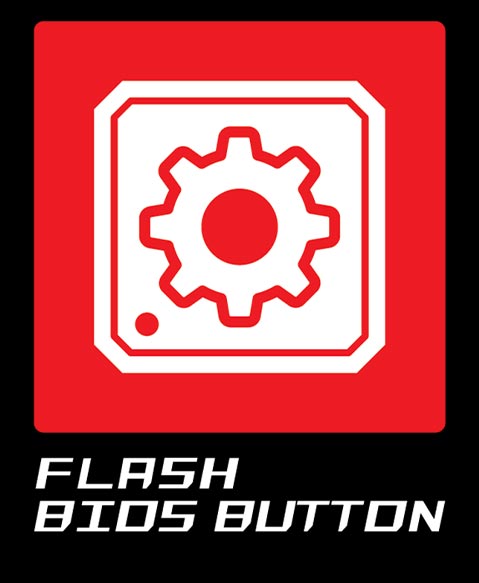 Flash BIOS Button