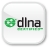icon - DLNA