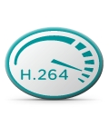 H.264 video standard