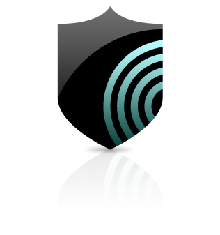 enterprise performance 10k overview sheild with logo