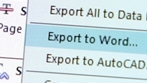 Export comments to Word