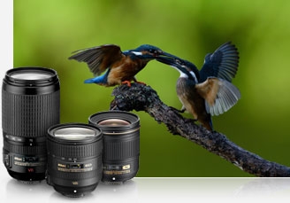 Photo of F/mount NIKKOR lenses and a photo of birds on a branch