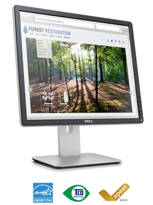 Dell 19 Monitor | P1914S - Designed for work and home