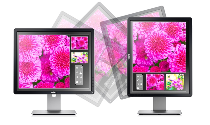 Dell 19 Monitor | P1914S - Flexible viewing features
