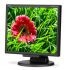 NEC E171M-BK LCD Monitor - Black 17"W-LED, 5;4, 5ms, 1280x1024, 1000;1, 250cd/m2, VGA, DVI, Speakers
