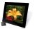 Shintaro Techbuy Australia -