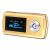 Laser 2GB MP3 GO Player - GoldenLCD, MP3, WMA, WMV, FM Radio, Voice Recording