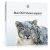 Apple Mac OS X 10.6 Snow Leopard - Family Pack