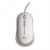 HP P2351AA Optical USB Mouse - WhiteHigh Performance, 5 Button, Comfort Hand-Size