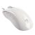 Zowie Gear EC2-eVo Optical Gaming Mouse 2300DPI, 4 Buttons + wheel, low LOD, designed for pro gaming