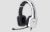 Tritton Kunai Stereo Headset for Xbox 360, PS4/PS3, Wii U, PC/Mac, Mobile - WhiteHigh Quality Stereo Sound, 40mm Speakers Employing Neodymium Magnets, In-Line Audio Controls, Microphone with Mute