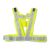 Generic Solar Powered LED Vest