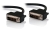 Alogic DVI-DL-03-MM Pro Series 3m 4K DVI-D Dual Link Digital Video Cable - Male to Male - 3M
