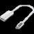 Blupeak USB-C To Displayport 4K2K 60HZ Adapter (2 Year Warranty)