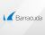 Barracuda_Networks BNGIRPS1a