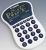 Canon LSQT Handheld Calculator - 8 Digit Display, Dual Solar/Battery Power, Extra-Large Keys and LCD