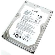 Seagate ST31000520AS