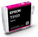 Epson C13T312300