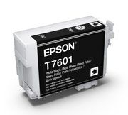 Epson C13T760100