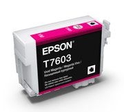 Epson C13T760300