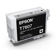 Epson C13T760700
