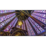 Samsung LH55QHHPLGC/XY