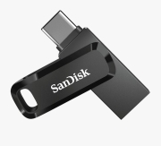 SanDisk SDDDC3-256G