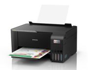 Epson C11CJ71501