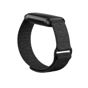 Fitbit BNDCHAR5-LOOP-CH-S(FB181HLGYS)