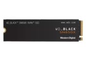Western_Digital WDS100T2X0E