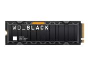 Western_Digital WDS100T2XHE