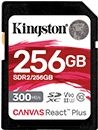 Kingston SDR2/256GB