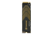 Transcend TS1TMTE250S
