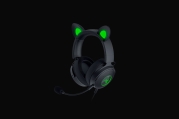 Razer RZ04-04510100-R3M1