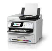 Epson C11CK23501