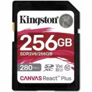 Kingston SDR2V6/256GB