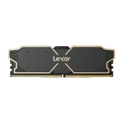 Lexar LD5U16G60C32LG-RGD
