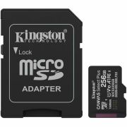 Kingston SDCS3/256GB