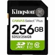 Kingston SDS3/256GB