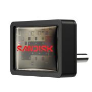SanDisk SDCZ530-256G-G46