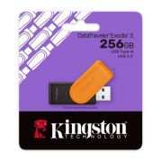Kingston DTXS/256GB
