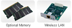 expandability with option items