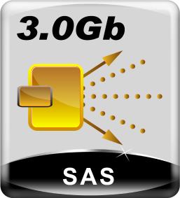 SAS.jpg