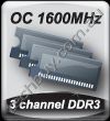 OCDDR.gif