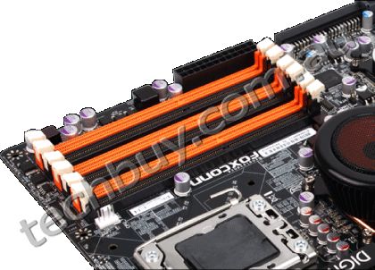 OCDDR1.gif