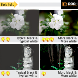 dynamic contrast 10,000:1