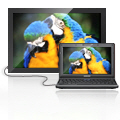 HDMI