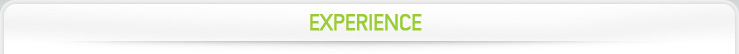 Experience